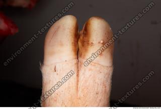 Photo Textures of RAW Legs